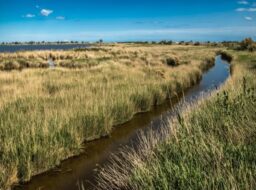 Panorámica del Delta del Ebro y Terres de l'Ebre
