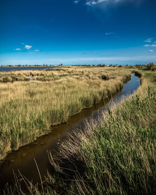 Panorámica del Delta del Ebro y Terres de l'Ebre