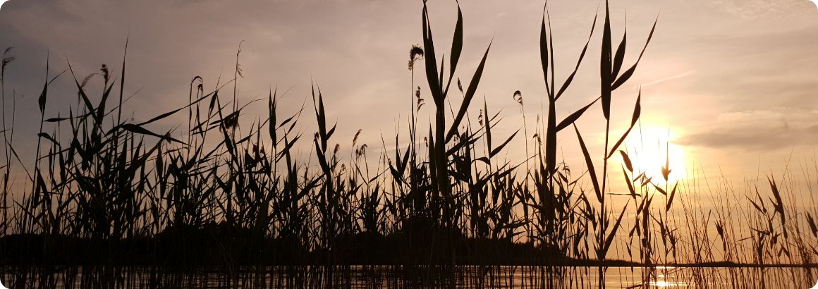 Paisaje de la bahía del Delta del Ebro