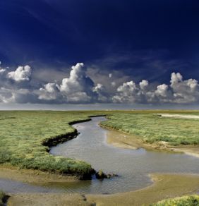 Atardecer sobre las aguas del Delta del Ebro
